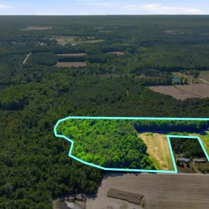 Photo #3 of TBD Sandy Ridge Rd., Galivants Ferry, SC 19.2 acres