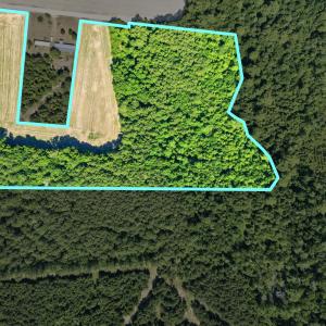 Photo #4 of TBD Sandy Ridge Rd., Galivants Ferry, SC 19.2 acres