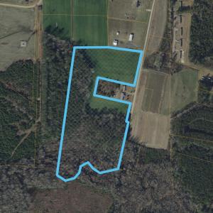 Photo #5 of TBD Sandy Ridge Rd., Galivants Ferry, SC 19.2 acres