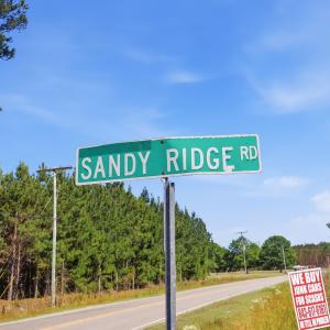 Photo #7 of TBD Sandy Ridge Rd., Galivants Ferry, SC 19.2 acres