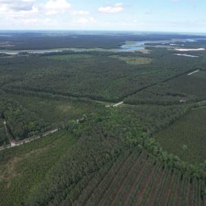 Photo #12 of 17.8 Acres-5871 Pennyroyal Rd., Georgetown, SC 17.8 acres