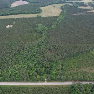 Photo #14 of 17.8 Acres-5871 Pennyroyal Rd., Georgetown, SC 17.8 acres