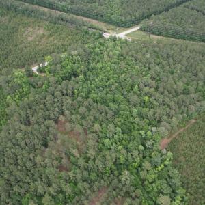 Photo #11 of 17.8 Acres-5871 Pennyroyal Rd., Georgetown, SC 17.8 acres