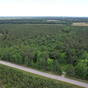 Photo #15 of 17.8 Acres-5871 Pennyroyal Rd., Georgetown, SC 17.8 acres