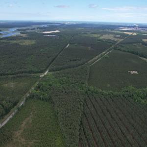 Photo #13 of 17.8 Acres-5871 Pennyroyal Rd., Georgetown, SC 17.8 acres