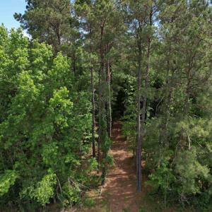 Photo #6 of 17.8 Acres-5871 Pennyroyal Rd., Georgetown, SC 17.8 acres