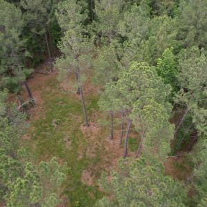 Photo #9 of 17.8 Acres-5871 Pennyroyal Rd., Georgetown, SC 17.8 acres