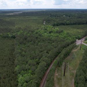 Photo #7 of 17.8 Acres-5871 Pennyroyal Rd., Georgetown, SC 17.8 acres