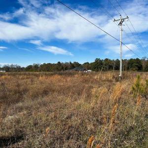 Photo #14 of 0.80 Acres-TBD West Dogwood Rd., Loris, SC 0.8 acres