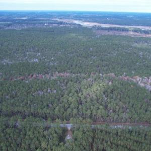 Photo #10 of Tract B - TBD Pennyroyal Rd., Georgetown, SC 5.5 acres