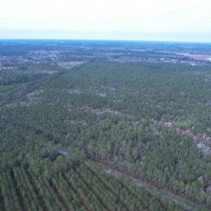 Photo #12 of Tract B - TBD Pennyroyal Rd., Georgetown, SC 5.5 acres