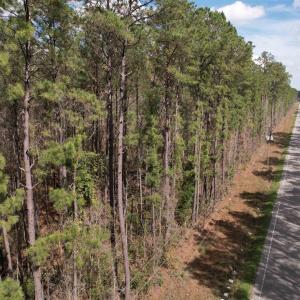 Photo #1 of Tract B - TBD Pennyroyal Rd., Georgetown, SC 5.5 acres
