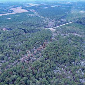 Photo #13 of Tract B - TBD Pennyroyal Rd., Georgetown, SC 5.5 acres