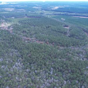 Photo #14 of Tract B - TBD Pennyroyal Rd., Georgetown, SC 5.5 acres