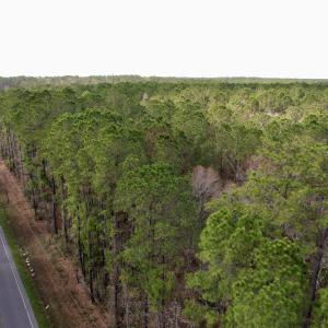 Photo #8 of Tract B - TBD Pennyroyal Rd., Georgetown, SC 5.5 acres