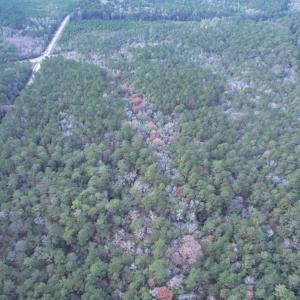 Photo #11 of Tract B - TBD Pennyroyal Rd., Georgetown, SC 5.5 acres