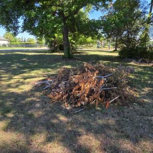 Photo #6 of 8027 Bird Key Ct., Myrtle Beach, SC 0.3 acres