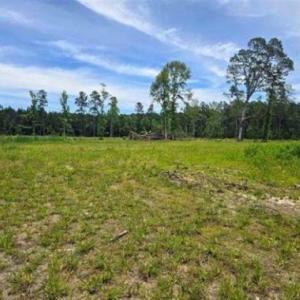 Photo #4 of Mount Olive Church Rd., Green Sea, SC 4.9 acres