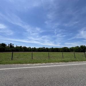 Photo #1 of TBD Old Reaves Ferry Rd., Conway, SC 13.0 acres