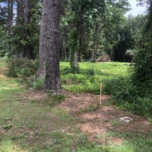 Photo #6 of TBD Horseshoe Circle, Conway, SC 0.6 acres