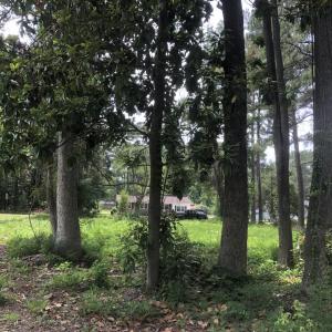 Photo #10 of TBD Horseshoe Circle, Conway, SC 0.6 acres