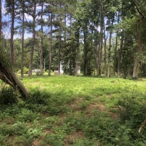 Photo #4 of TBD Horseshoe Circle, Conway, SC 0.6 acres