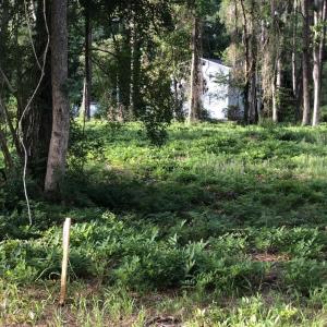 Photo #1 of TBD Horseshoe Circle, Conway, SC 0.6 acres