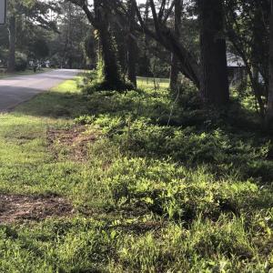 Photo #2 of TBD Horseshoe Circle, Conway, SC 0.6 acres