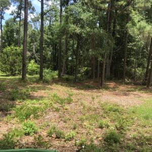 Photo #9 of TBD Horseshoe Circle, Conway, SC 0.6 acres
