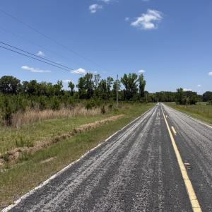Photo #5 of Lot 4 Attadale Rd, Blenheim, SC 12.7 acres