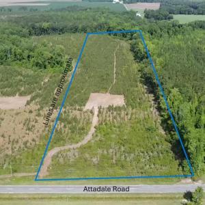 Photo #1 of Lot 4 Attadale Rd, Blenheim, SC 12.7 acres