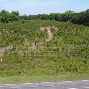 Photo #2 of Lot 4 Attadale Rd, Blenheim, SC 12.7 acres