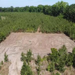 Photo #3 of Lot 4 Attadale Rd, Blenheim, SC 12.7 acres