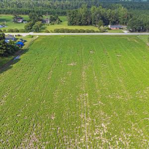 Photo #16 of TBD Highway 9 W, Nichols, SC 37.2 acres