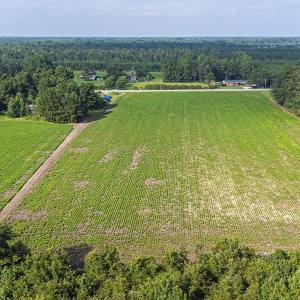 Photo #15 of TBD Highway 9 W, Nichols, SC 37.2 acres