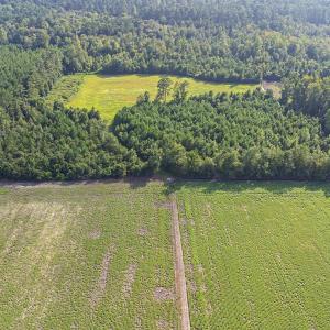 Photo #6 of TBD Highway 9 W, Nichols, SC 37.2 acres