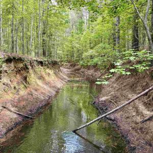 Photo #19 of 18 Acres - TBD Driffin Ln, Salters, SC 18.0 acres