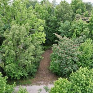 Photo #8 of 18 Acres - TBD Driffin Ln, Salters, SC 18.0 acres