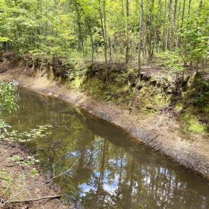 Photo #20 of 18 Acres - TBD Driffin Ln, Salters, SC 18.0 acres