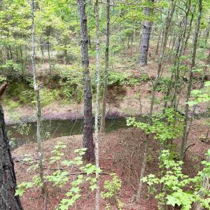 Photo #21 of 18 Acres - TBD Driffin Ln, Salters, SC 18.0 acres