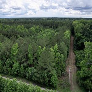 Photo #7 of 18 Acres - TBD Driffin Ln, Salters, SC 18.0 acres