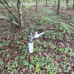 Photo #23 of 18 Acres - TBD Driffin Ln, Salters, SC 18.0 acres
