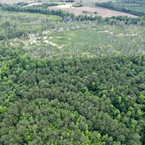 Photo #5 of 18 Acres - TBD Driffin Ln, Salters, SC 18.0 acres