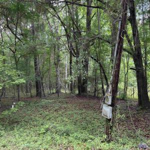 Photo #24 of 18 Acres - TBD Driffin Ln, Salters, SC 18.0 acres