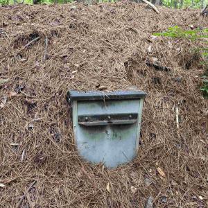 Photo #14 of 18 Acres - TBD Driffin Ln, Salters, SC 18.0 acres