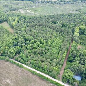 Photo #6 of 18 Acres - TBD Driffin Ln, Salters, SC 18.0 acres