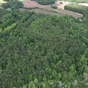 Photo #10 of 18 Acres - TBD Driffin Ln, Salters, SC 18.0 acres