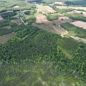 Photo #11 of 18 Acres - TBD Driffin Ln, Salters, SC 18.0 acres