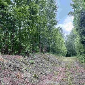 Photo #1 of 18 Acres - TBD Driffin Ln, Salters, SC 18.0 acres