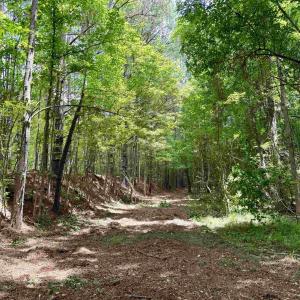Photo #22 of 18 Acres - TBD Driffin Ln, Salters, SC 18.0 acres
